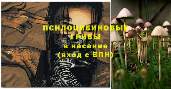 твердый Киренск