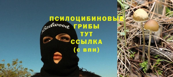 твердый Киренск