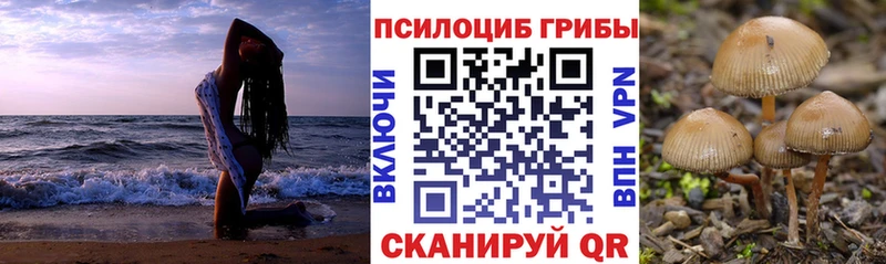 Псилоцибиновые грибы Magic Shrooms  Купить закладки  Знаменск 